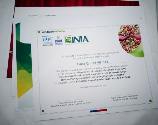Diplomas - Imagen 3